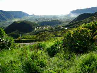 Plaine des Palmistes