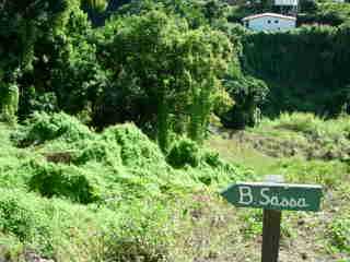 Vers le Bassin Sassa