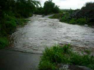 Ravine Blanche en crue, alle Jacquot