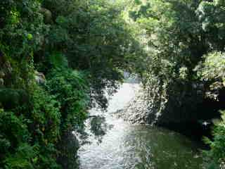 Rivire des Roches
