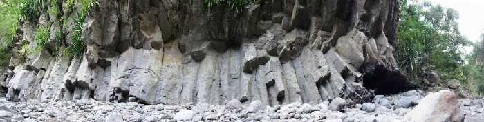 Orgues volcaniques dans le Bras de la Plaine
