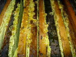 Cadres de miel