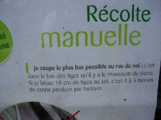 Rcolte manuelle