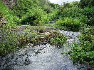 Rivire Langevin