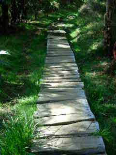 Sentier vers le Trou de Fer