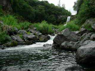 Cascade Jacqueline