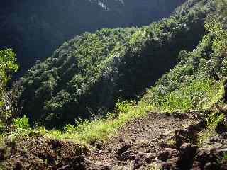 Sentier de Grand Bassin