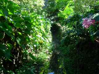 Sentier  Grand Bassin