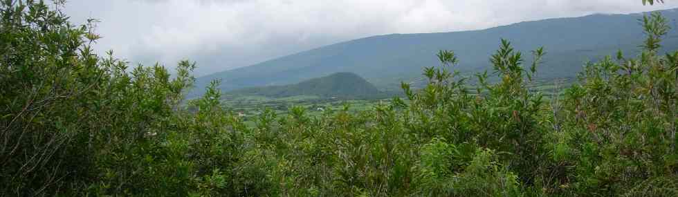 Le Piton Armand