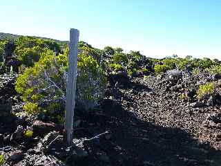 Vers la caverne du Piton Rouge