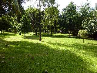 Parc zoiseaux