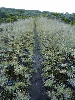 Sentier vers le Petit Bnare