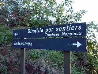 Trophs mondiaux
