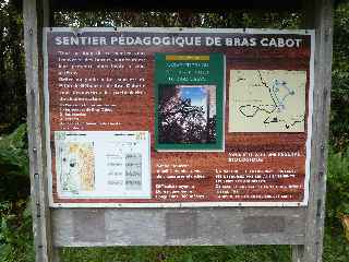 Fort de Bbour - Plateau Duvernay - Sentier pdagogique de Bras Cabot
