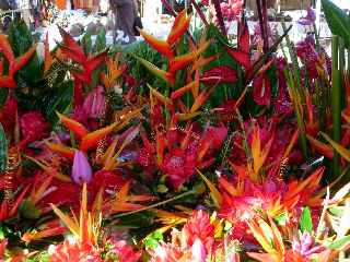 March forain de St-Pierre -  Fleurs