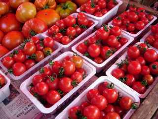 Tomates