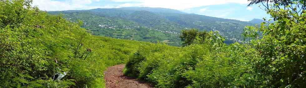 Fort de l'Etang-Sal - Piste questre