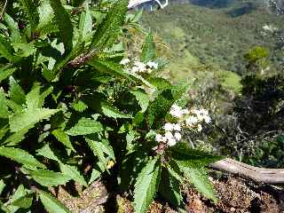 Col Choupette - Bord vers Mafate