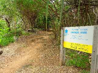 Grande Anse, site naturel protg