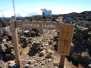 Sentier du Gte des Tamarins au Grand Bnare -  Panneau "Sentier Ferm" (Grand Bnare)