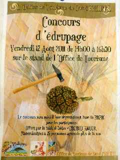 St-Philippe - Aot 2011 - Fte du vacoa -  Concours d'drupage
