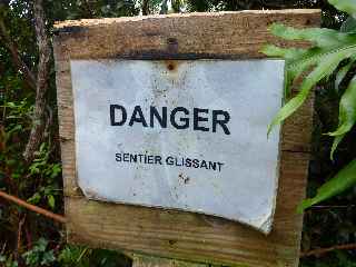 Espace Sensible Naturel du Piton de Mont Vert - Sentier ouest