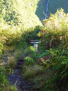 Plaine des Palmistes - Cascade Biberon -