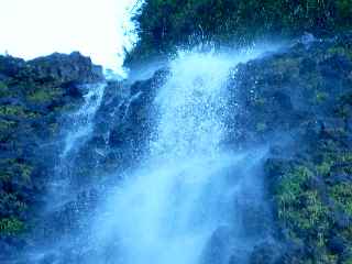 Plaine des Palmistes - Tte de la Cascade Biberon -