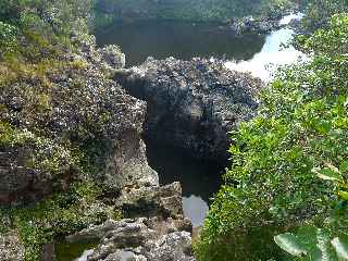 Plaine des Palmistes - Bassin Cadet - Vue du pont sur la Ravine sche