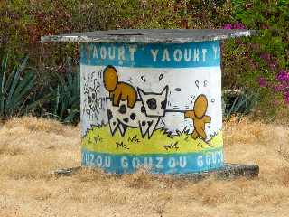 Gouzou de Jace - Saint-Leu - Pointe au Sel