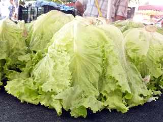 March forain de St-Pierre - 3 dcembre 2011 -  Salades