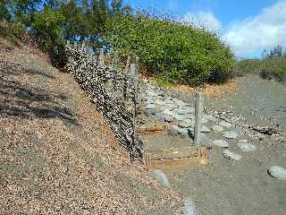 Sentier littoral de l'Etang du Gol  l'Etang-Sal les Bains - Escalier sur une dune