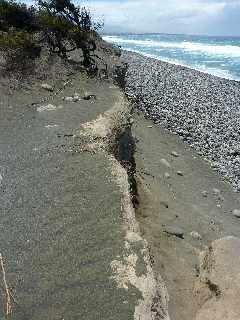 Sentier littoral de l'Etang du Gol  l'Etang-Sal les Bains - Falaise de sables fossiliss