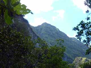 Cilaos - Sentier des Calumets -  Crte du Dimitile