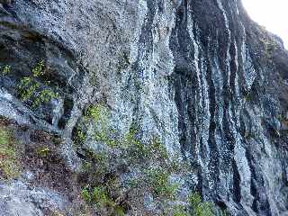 Cilaos - Sentier des Calumets  -  Grand Piton