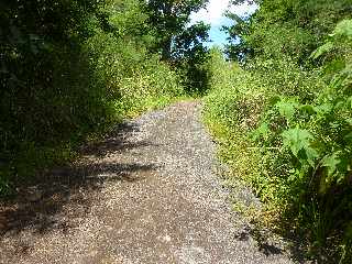 St-Leu - Bras Mouton -  Sentier vers Cayenne -