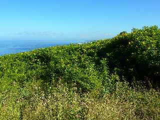 St-Leu - Sentier de Grand Etang