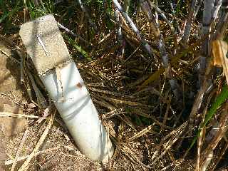 St-Leu - CD22 - Le Cap Lelivre - Borne irrigatin SAPHR