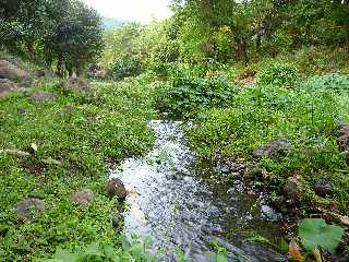 St-Paul - Tour des Roches - Ravine Divon -