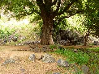 St-Paul - Tour des Roches - Ravine Divon -