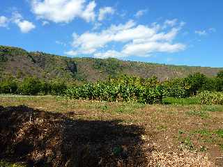 St-Paul - Face au Chemin Dboul