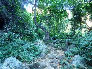 Sentier du Bassin Vital - St-Paul