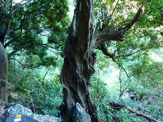 Sentier du Bassin Vital - St-Paul