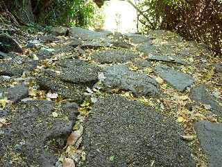 Boucle retour du Bassin Vital - St-Paul - Pavages