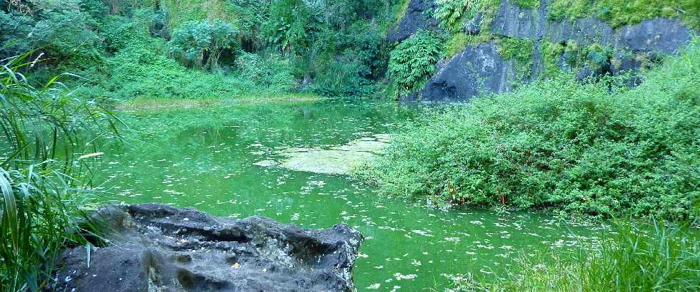 Bassin Vital - St-Paul