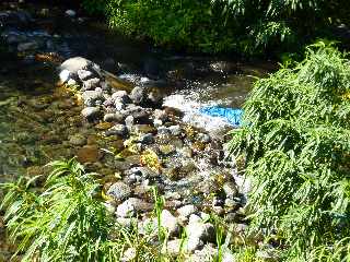St-Joseph -Sentier dans  le lit de la Rivire des Remparts -