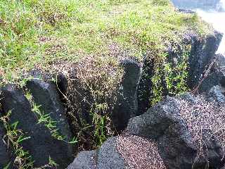St-Philippe - Littoral  - Faille