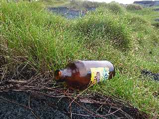 St-Philippe - Littoral  - Bouteilles vides