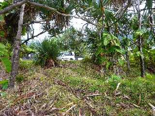 St-Philippe - Littoral  - Mer Casse -