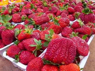 St-Pierre - March forain - Fraises du Tampon